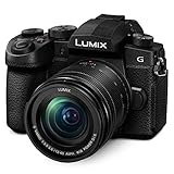 Panasonic LUMIX G95 20.3 Megapixel Mirrorless Camera, 12-60mm F3.5-5.6 Micro Four Thirds Lens,...