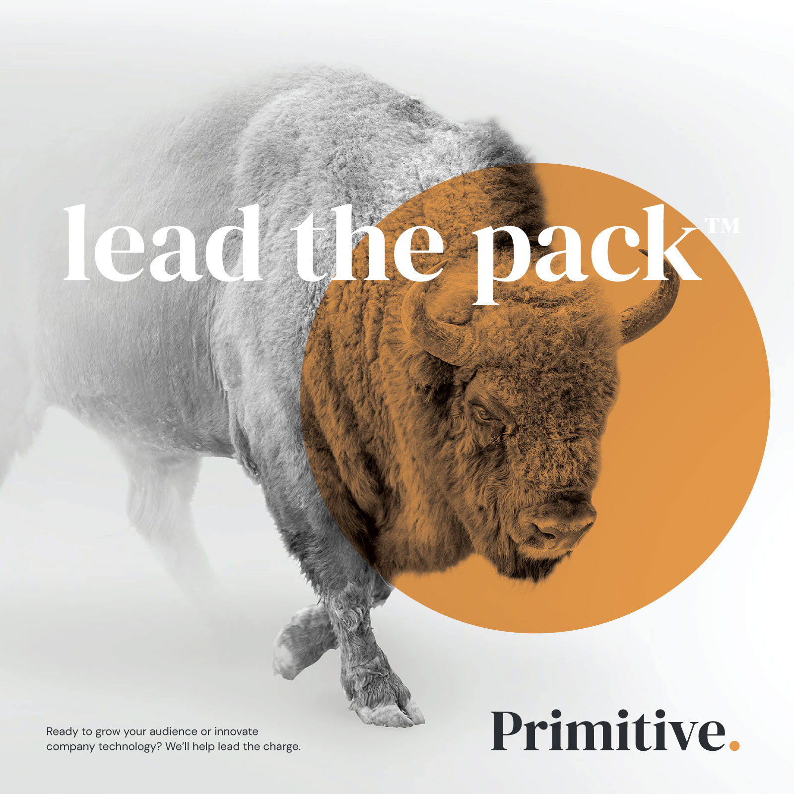 Primitive Ad Poster