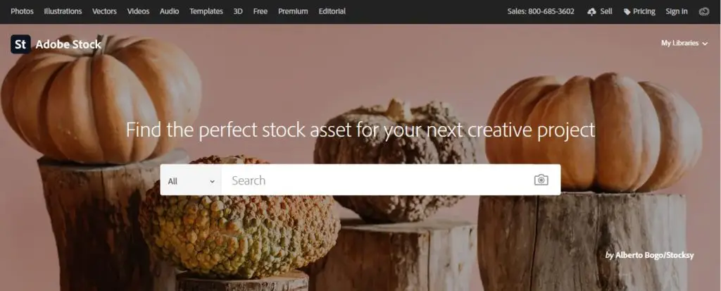 Adobe Stock