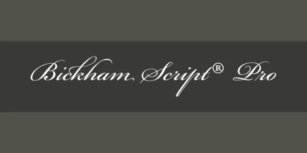 Fonts Used by Professionals