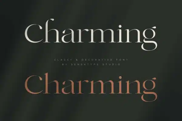 A classy and decorative font