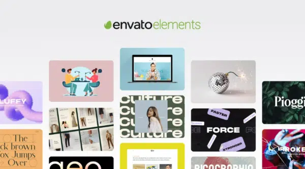 Envato Elements License. Image credits: Envato Elements