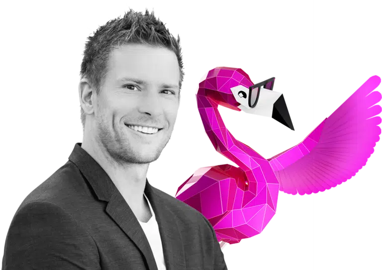 Flamingo Pointing
