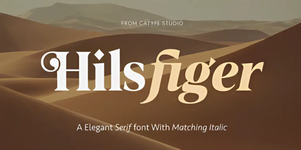 Hilsfiger
