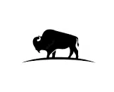 Buffalo