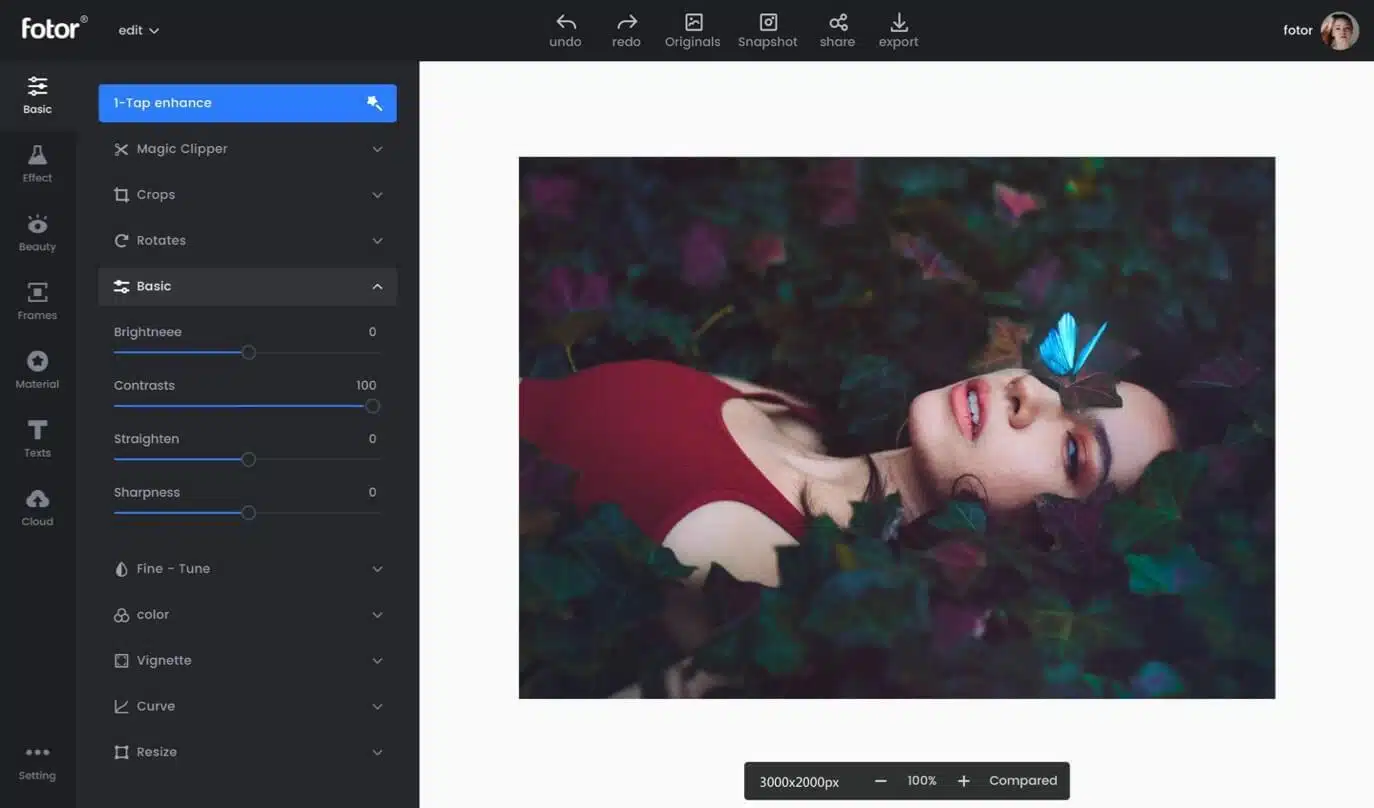 Fotor - Best Canva alternatives