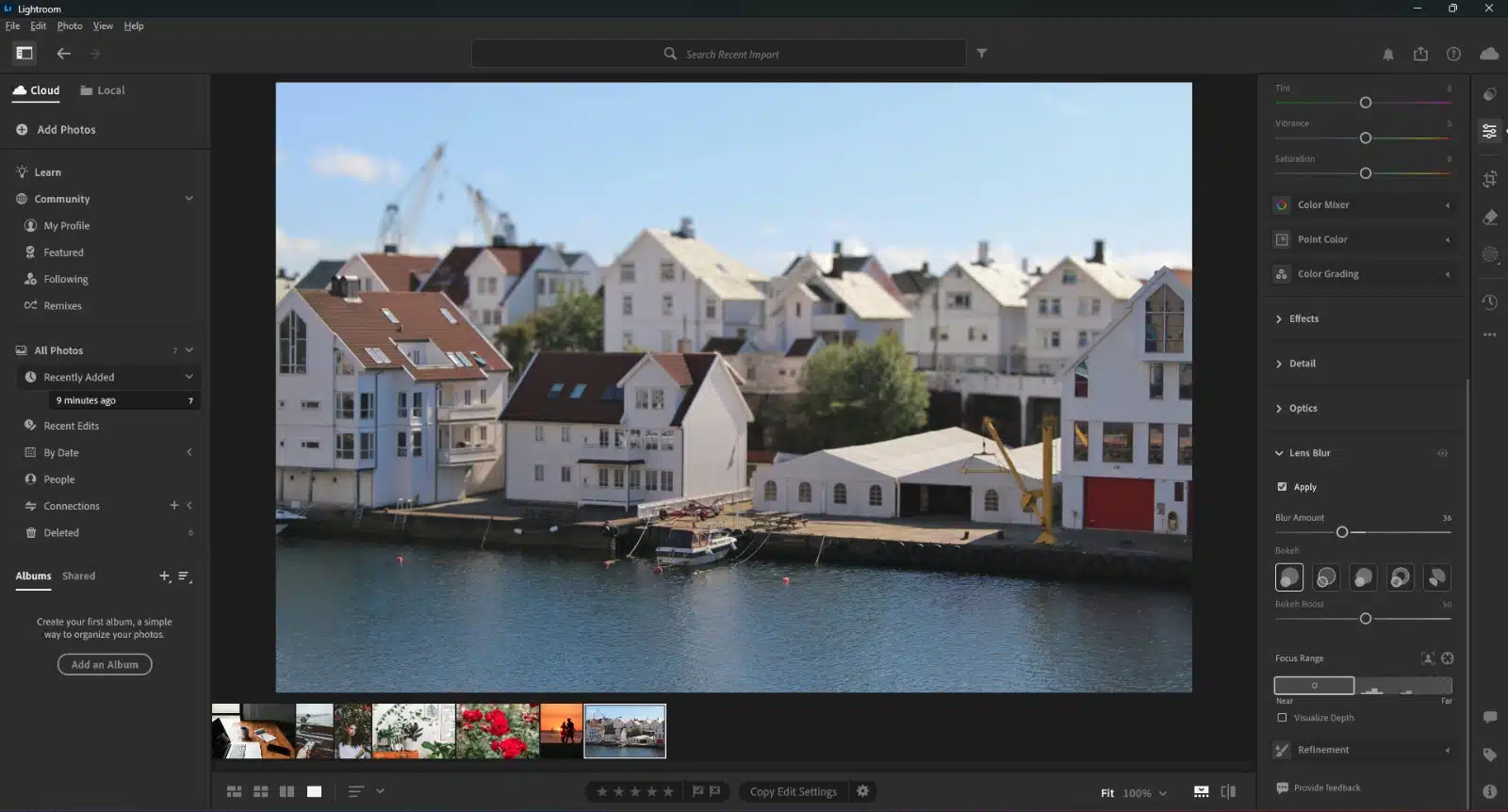 Image After Using Lens Blur