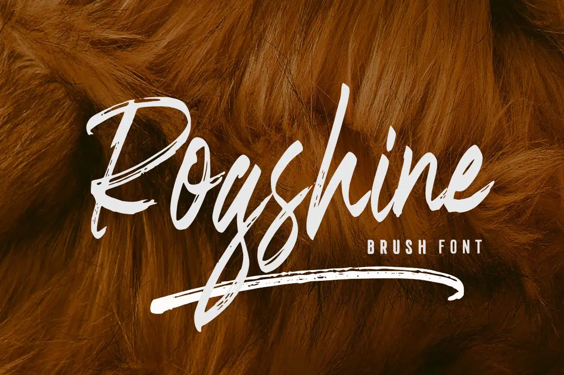 Rogshine Brush Font