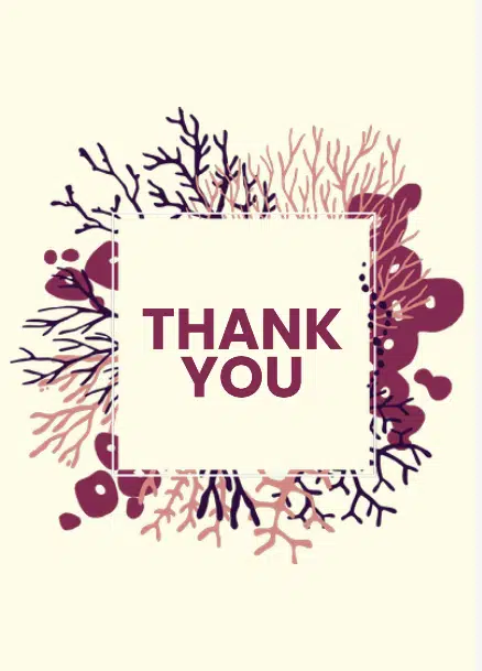 Thank You Cards