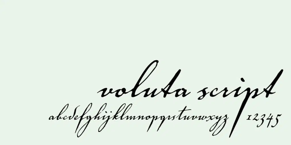 Voluta Script